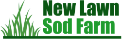 logo_3